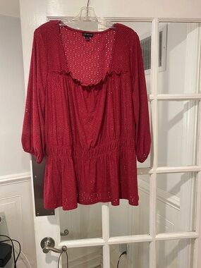 Lane Bryant size 22/24 Top good condition